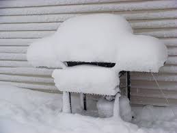 Propane tank snow damage